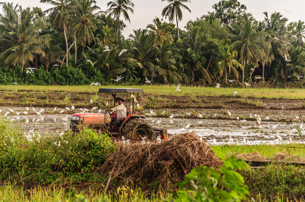 Sri Lanka